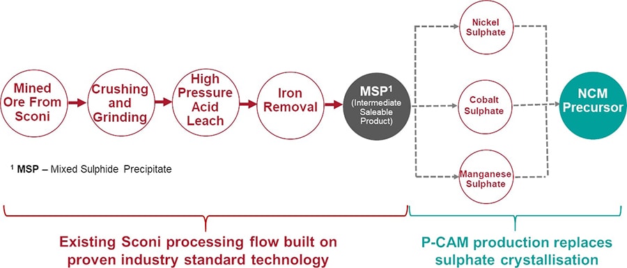 Australian Mines Sconi Project processing flowsheet, substituting precursor cathode active material (P-CAM) production for the sulphate crystallisation stage