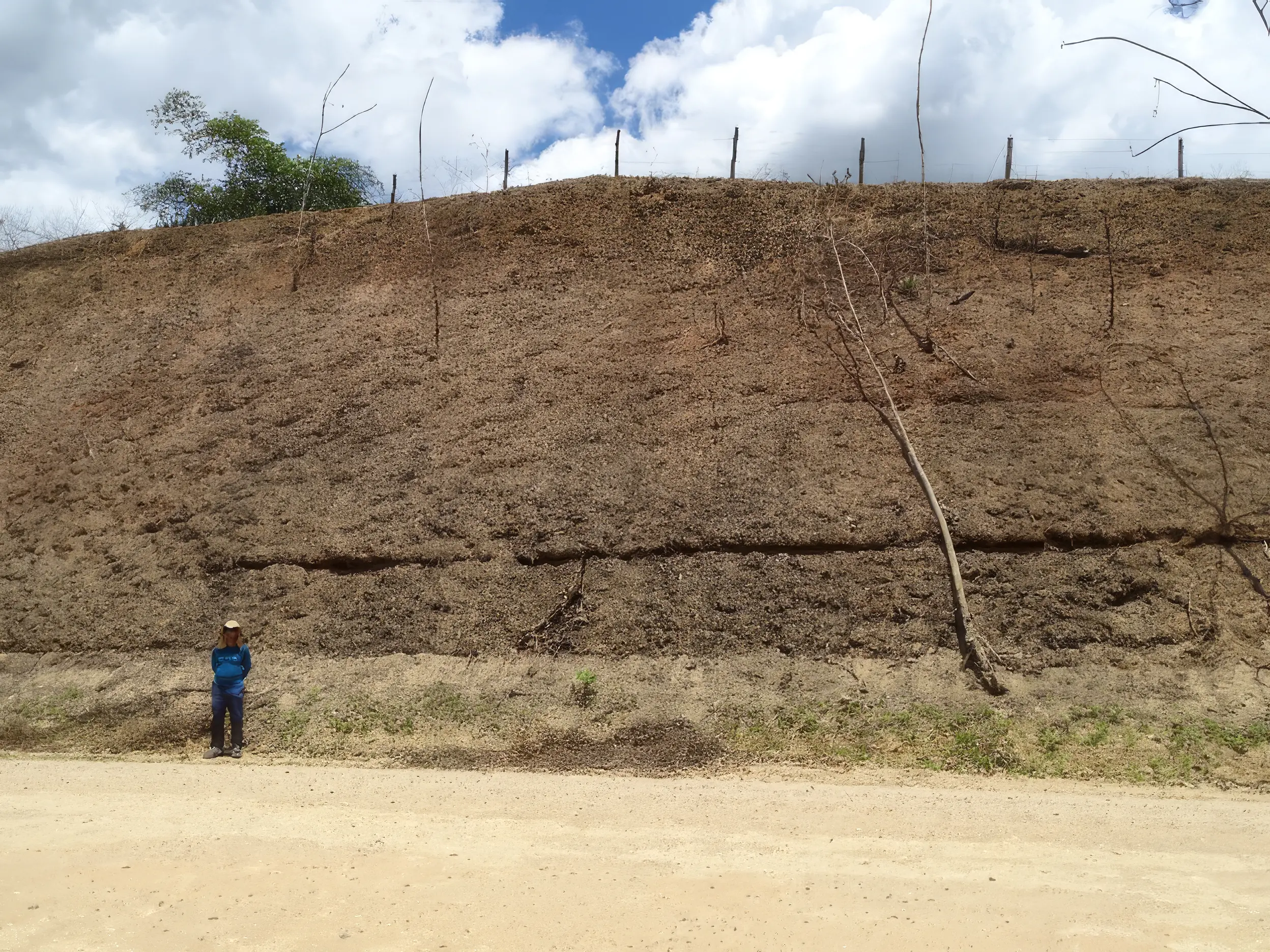 Jequie project, Bahia Brazil